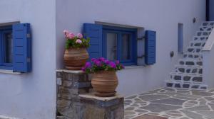 Alexandros Studios Paros Greece