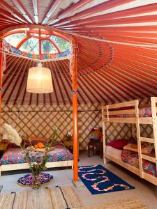 Eco-Camping De Helleborus, Yurt, Bell & Safari tent, Pipo, Caravans, Dorms and Units