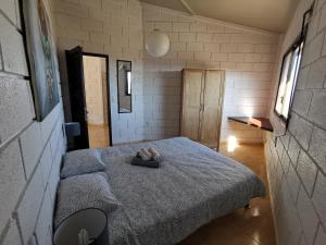 Parasol - Finca Tabaiba by TOR