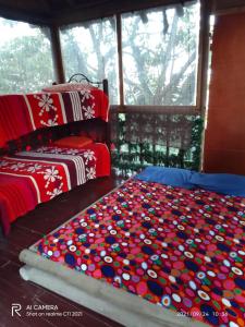 Miradores Del Oso Perezoso