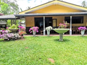 Dolphin Villa