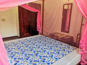 Dolphin Villa