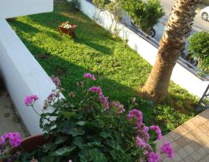 Philippos Studios & Apartments Kos Greece