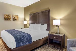 King Room - Non-Smoking room in Comfort Inn St. Robert/Fort Leonard Wood
