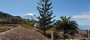 Casa Canarina, Santa Úrsula  - Tenerife