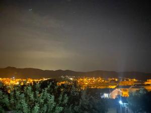 Il mirto e l'oleandro img12