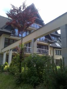 Apartament VIP