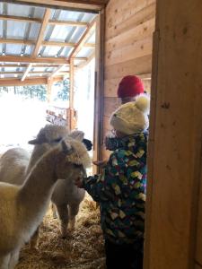 Appartements LE DOMAINE DE LA LOUVE BLANCHE : Appartement 2 Chambres