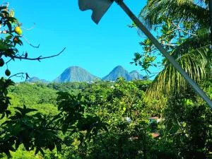 Appartement spacieux à Fort-de-France - Vue jardin 85 m² - Poste Colon