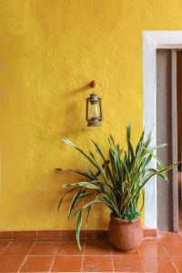 Hacienda San Miguel Yucatan