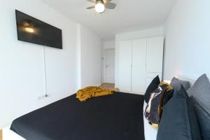 North Artistique - Aviatiei