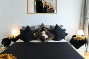 North Artistique - Aviatiei