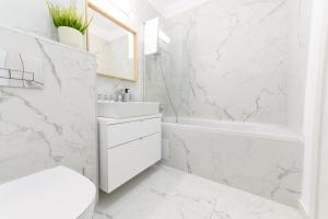 North Artistique - Aviatiei