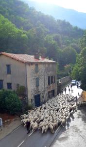 Hotels Auberge Cevenole : photos des chambres