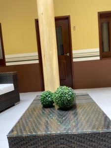 Hotel Mina Vetagrande