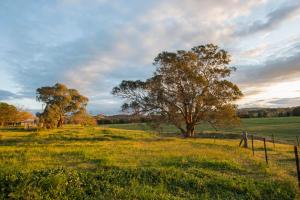 Beaudesert Cottage - Mudgee