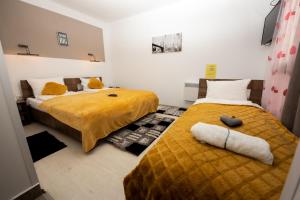 Complex Turistic Dávid