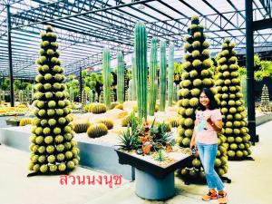 Baan Chang Residence