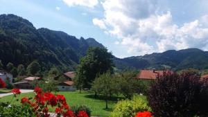 Haus Wiesenblick