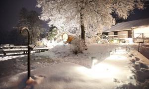 Sielskie Sioło - domki nad jeziorem