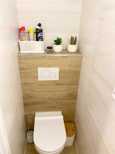 Private apartment - Park Olomouc - super lokalita