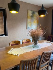 Bakuriani Cozy Villa #4