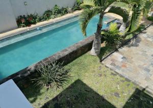 Luxury Villa Lile Maurice