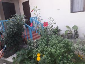 Guesthouse Zeinabi