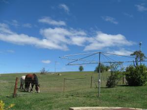 Delegate Nurses Cottage