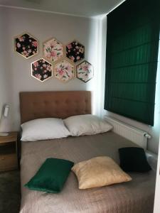 Apartment Paula