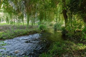 Maisons de vacances La Maison Joselise 4 - 10 people - Family & Countryside : photos des chambres