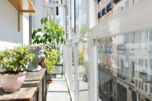 Un piso especial en el CASCO HISTÓRICO de Burgos - 3hvězdičkové hotely ve městě Burgos
