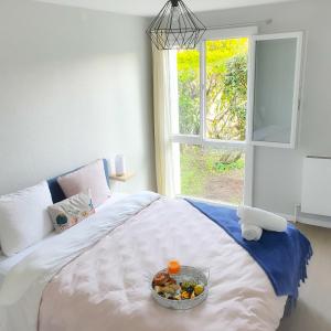 Appartements Appartement Toulouse Blagnac MEET Aeroport 5 min Tramway a 6 min free Parking Proche de toutes commodites Belle terrasse : photos des chambres