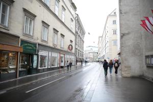 Heart of Vienna- next to Albertina