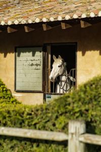 Villas Domaine du Coussoul : photos des chambres