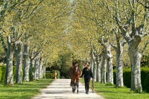 Villas Domaine du Coussoul : photos des chambres