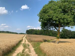 B&B / Chambres d'hotes Le Chateau d Hardricourt : photos des chambres