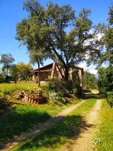 La Simona Casa Rural - Coria