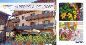 Albergo Alpenrose