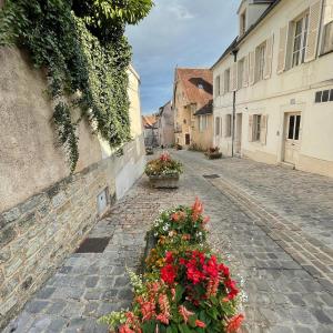 Appartements Le Pigeonnier centre historique Auxerre : photos des chambres