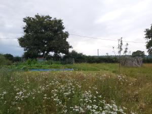 B&B / Chambres d'hotes Gite du jardin du Bout du Ciel : photos des chambres