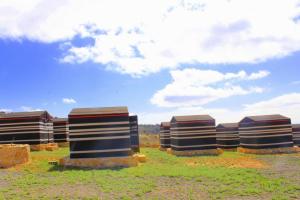 Ein lahda camp-site
