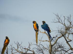 Villa de Assis Suítes