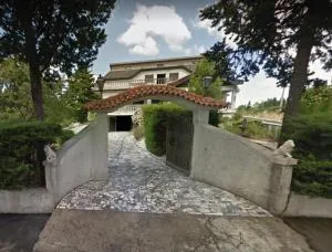 Pinheirinhos - Quinta de São Caetano - Casal