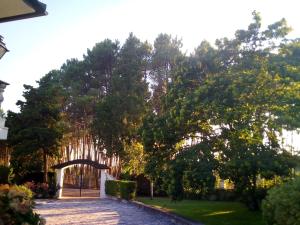 Pinheirinhos - Quinta de São Caetano