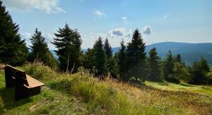 Die Adlerhütte