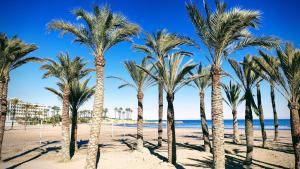 Ground floor Apartment close to Arenal Javea - 4 pers - 4hvězdičkové hotely ve městě Jávea