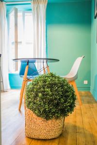 Appartements Le Contemporain - 1 Chambre : photos des chambres