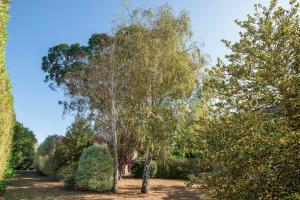 Appartements Appartement confortable avec terrasse a Arzon - 60 m² : photos des chambres