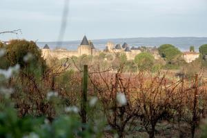 Villas Villa des Cathares : photos des chambres